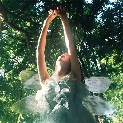 柯明斯基理论第一季